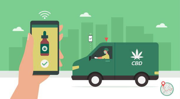 Weed Delivery Mississauga - Chillin Cheetah 2 hours delivery guarantee