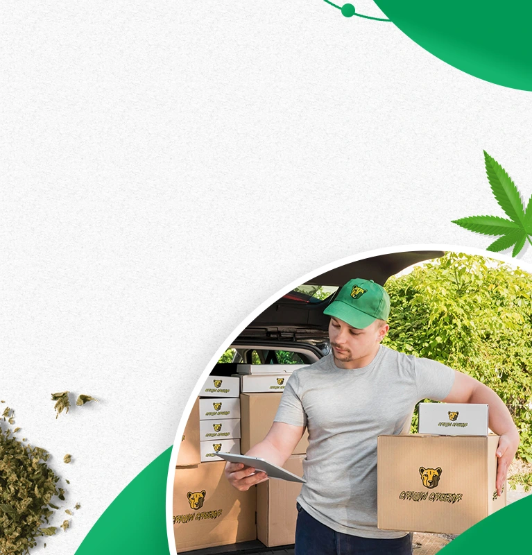 GTA's Fastest Cannabis Delivery Service