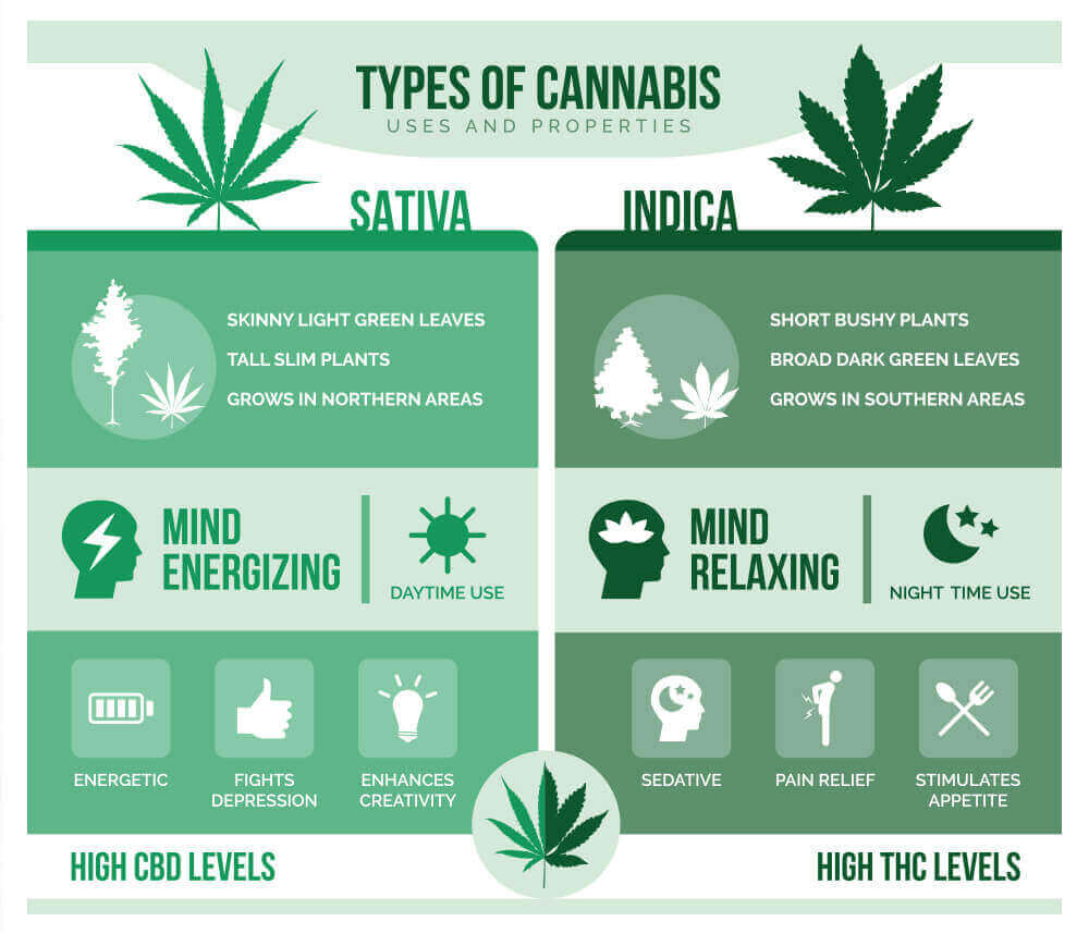 Sativa vs Indica