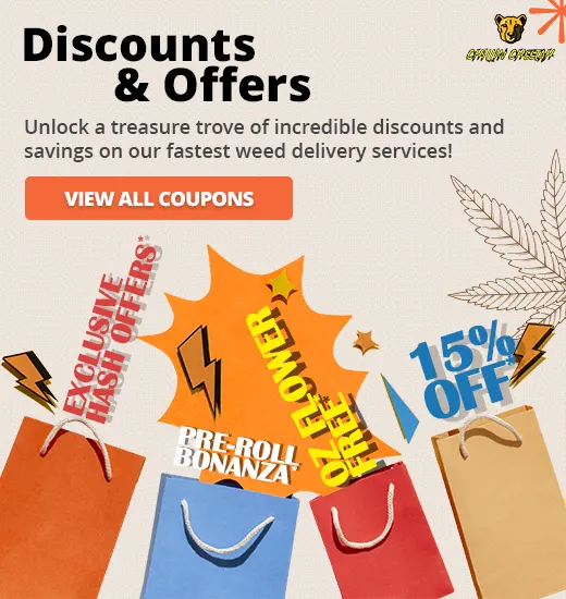 Discounts & Offers at Chillin Cheetah