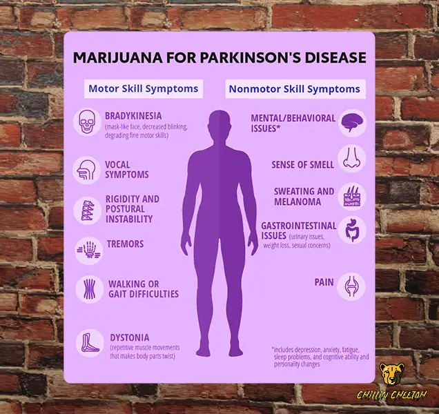 Exploring the Potential Benefits of Marijuana for Parkinson's Disease