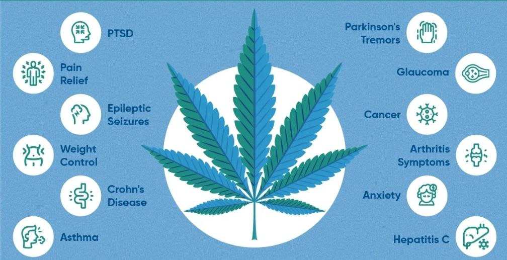 Unveiling the Astonishing Benefits of Cannabis