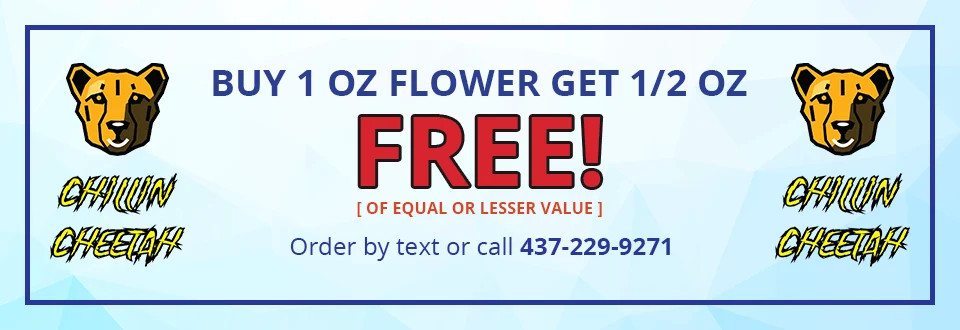 Flower Power Deal Buy 1 Get 1/2 Free!