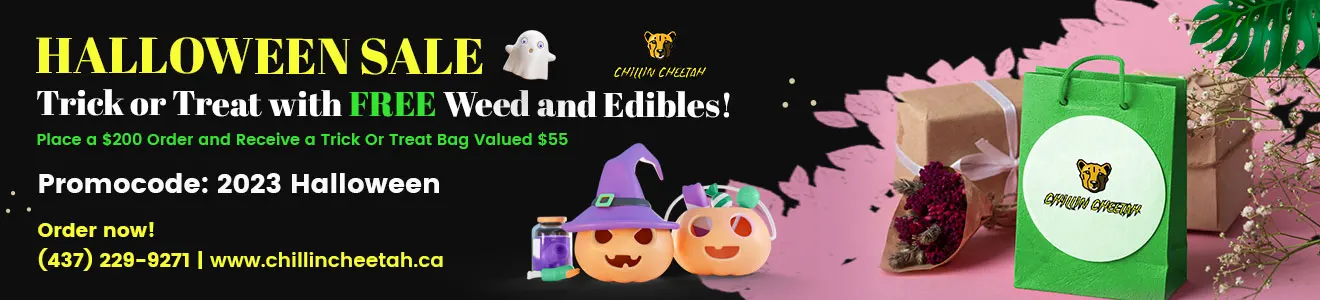 Cannabis Coupons | Chillin Cheetah