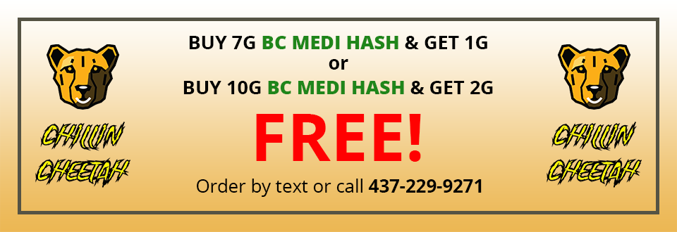 Exclusive Hash Offer!