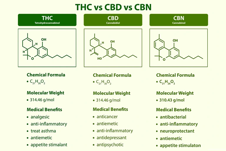 The Differences Between CBN, CBD, and THC