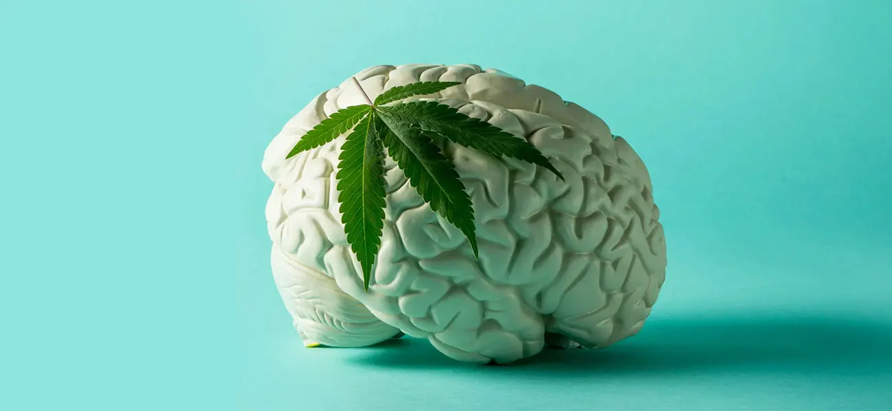 Unveiling the Potential Benefits of Weed on Brain Development and Growth