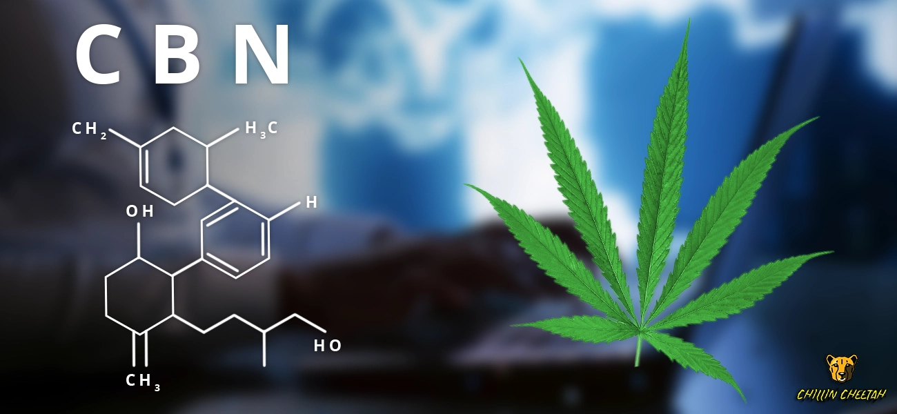 What is CBN and How It Differs from CBD and THC