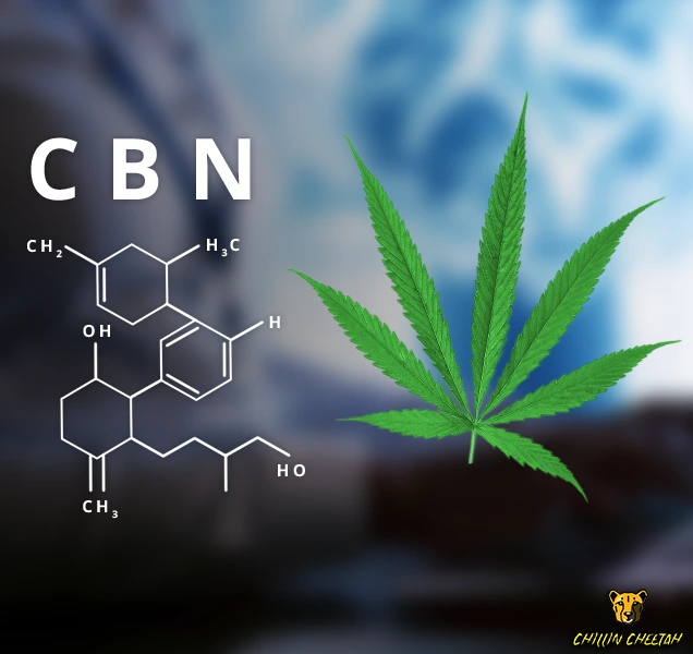What is CBN and How It Differs from CBD and THC