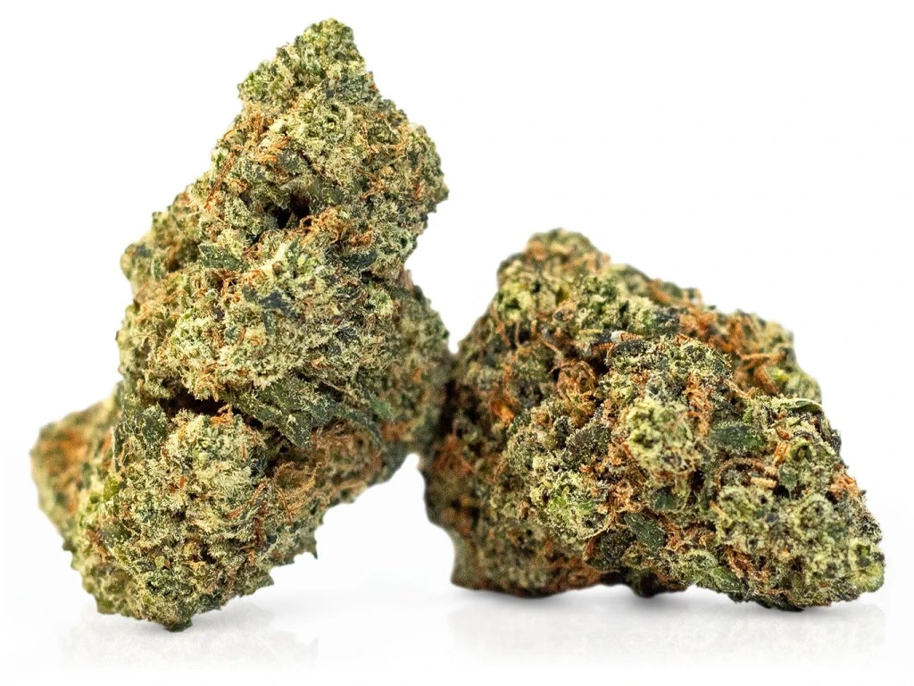Amnesia Haze - Chillin Cheetah - Scarborough