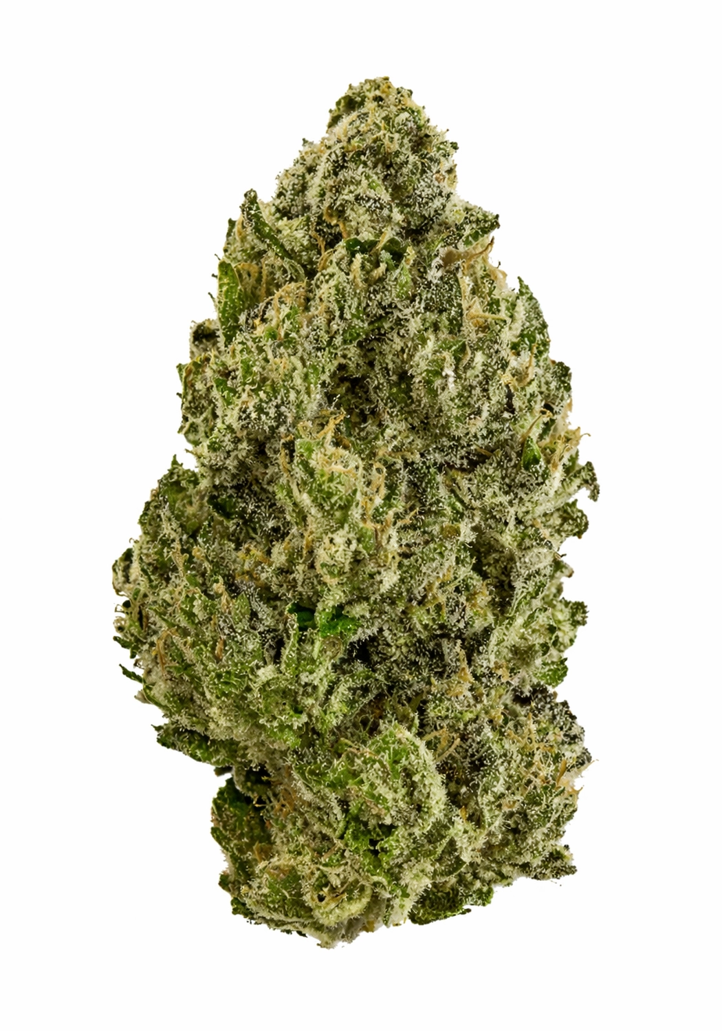 Black Cherry Soda for sale - Cannabis Products @ Chillin Cheetah
