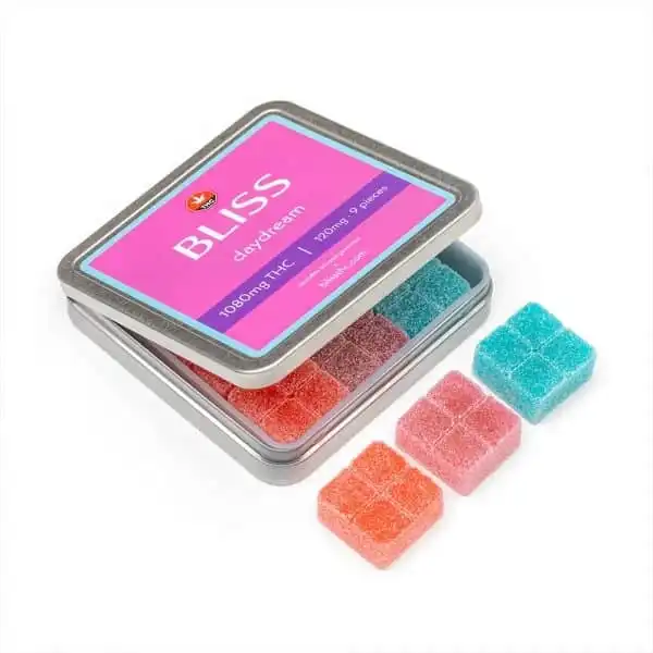 Bliss Day Dream - Chillin Cheetah - /blissdaydream