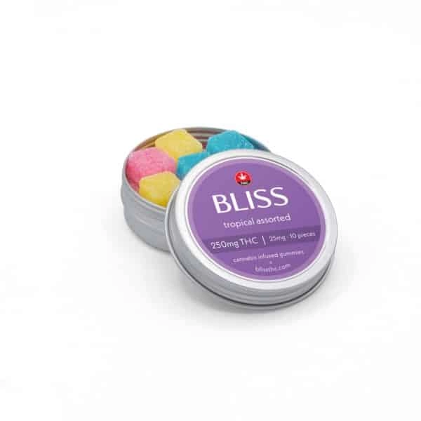 Bliss Tropical - Chillin Cheetah - /bliss