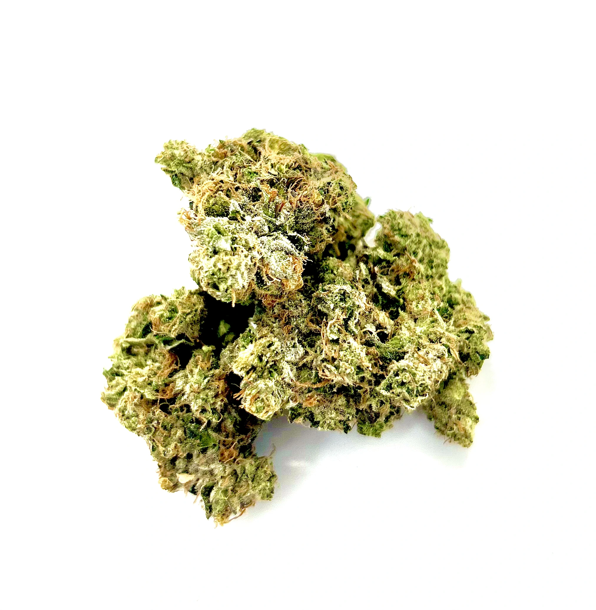 Bubba Og - Chillin Cheetah - Oakville