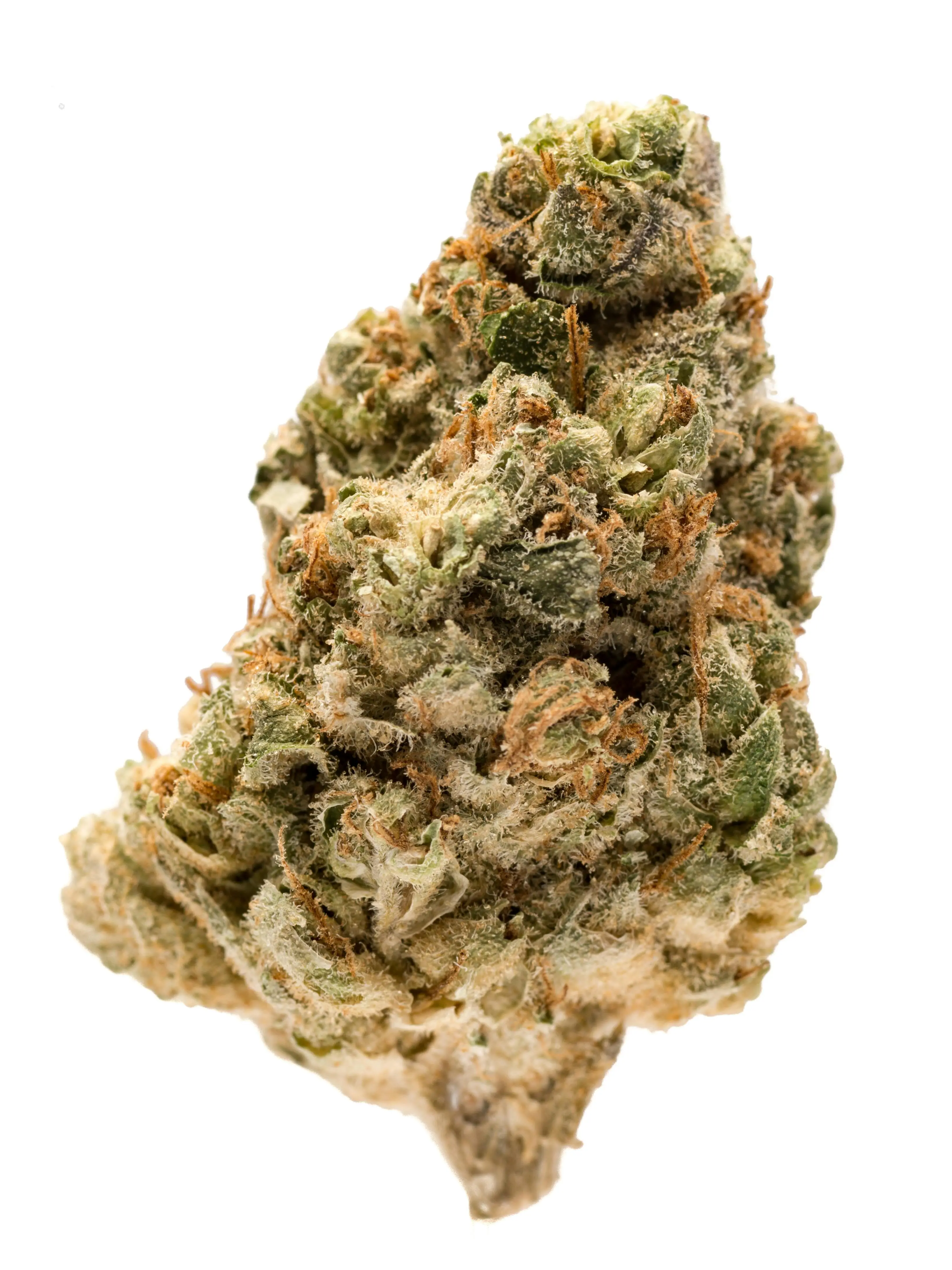 Clementine-Toronto-Delivery @ Chillin Cheetah