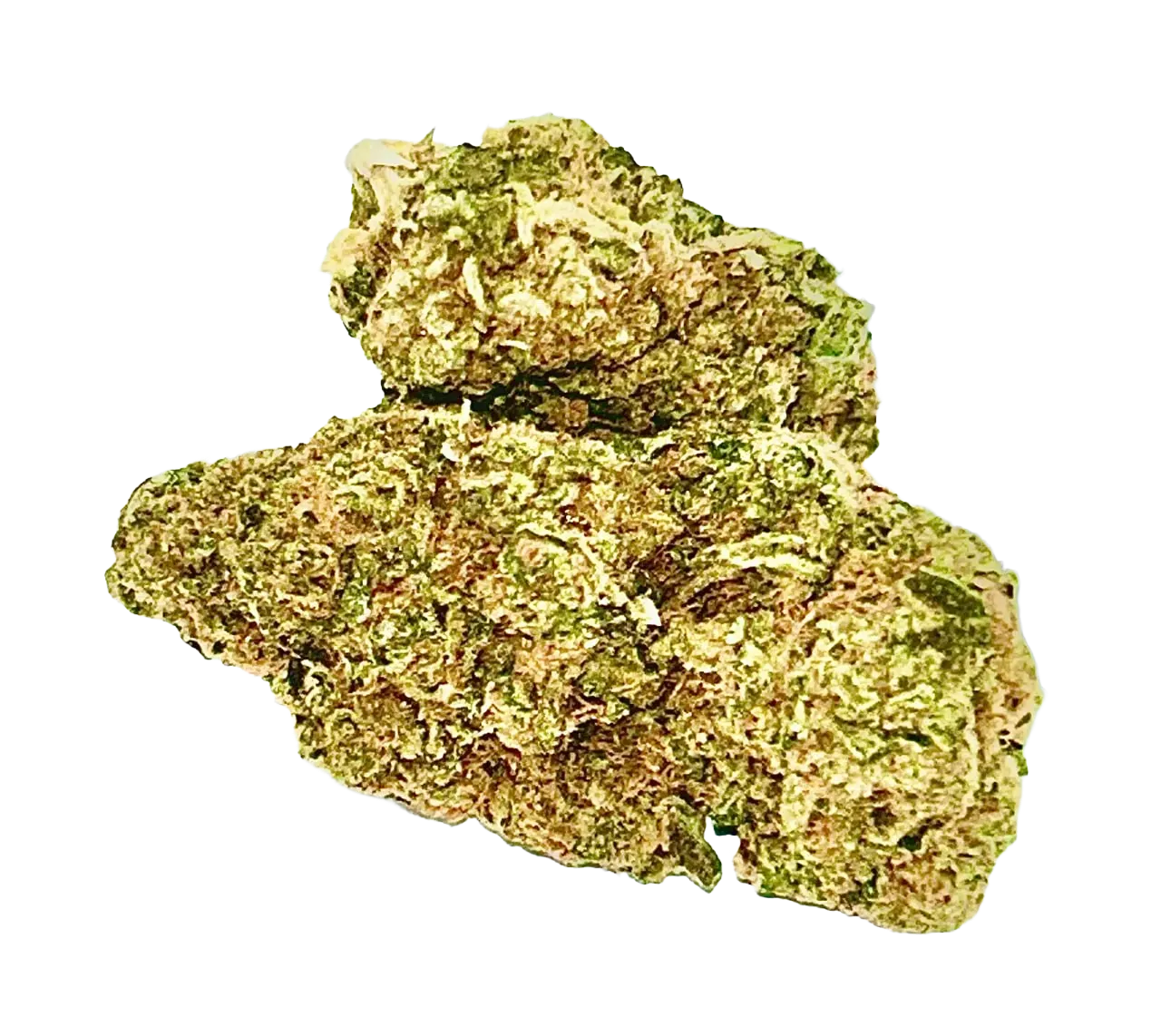 Jack Herer