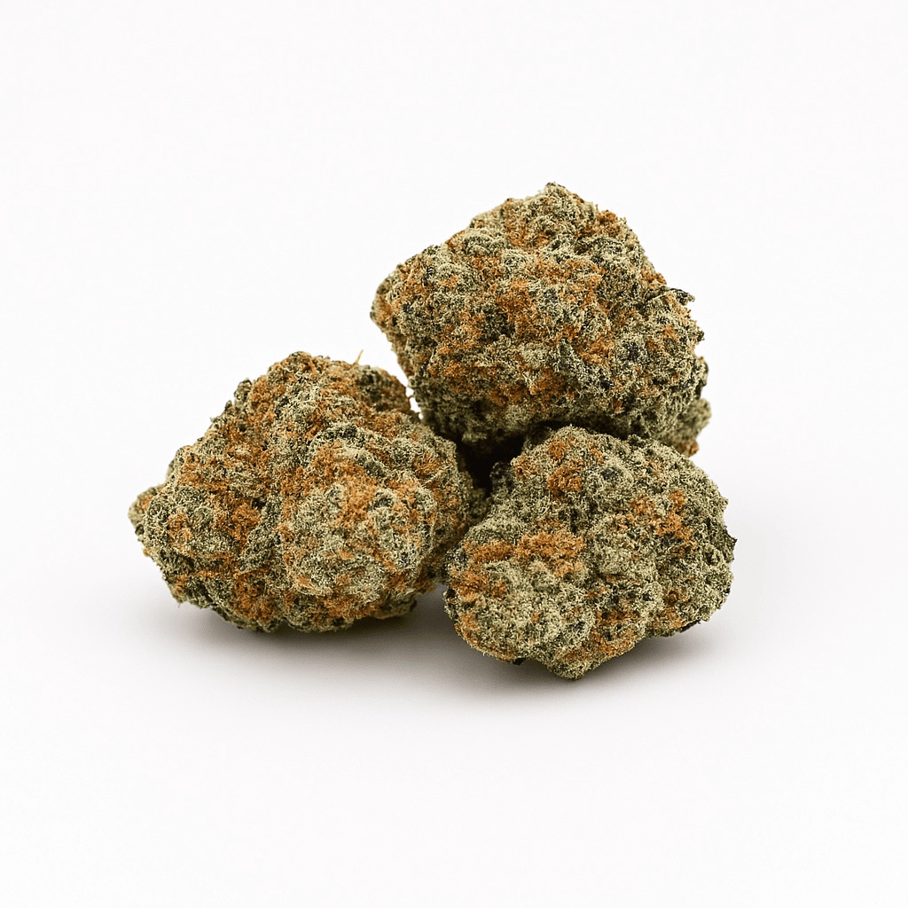 Mimosa