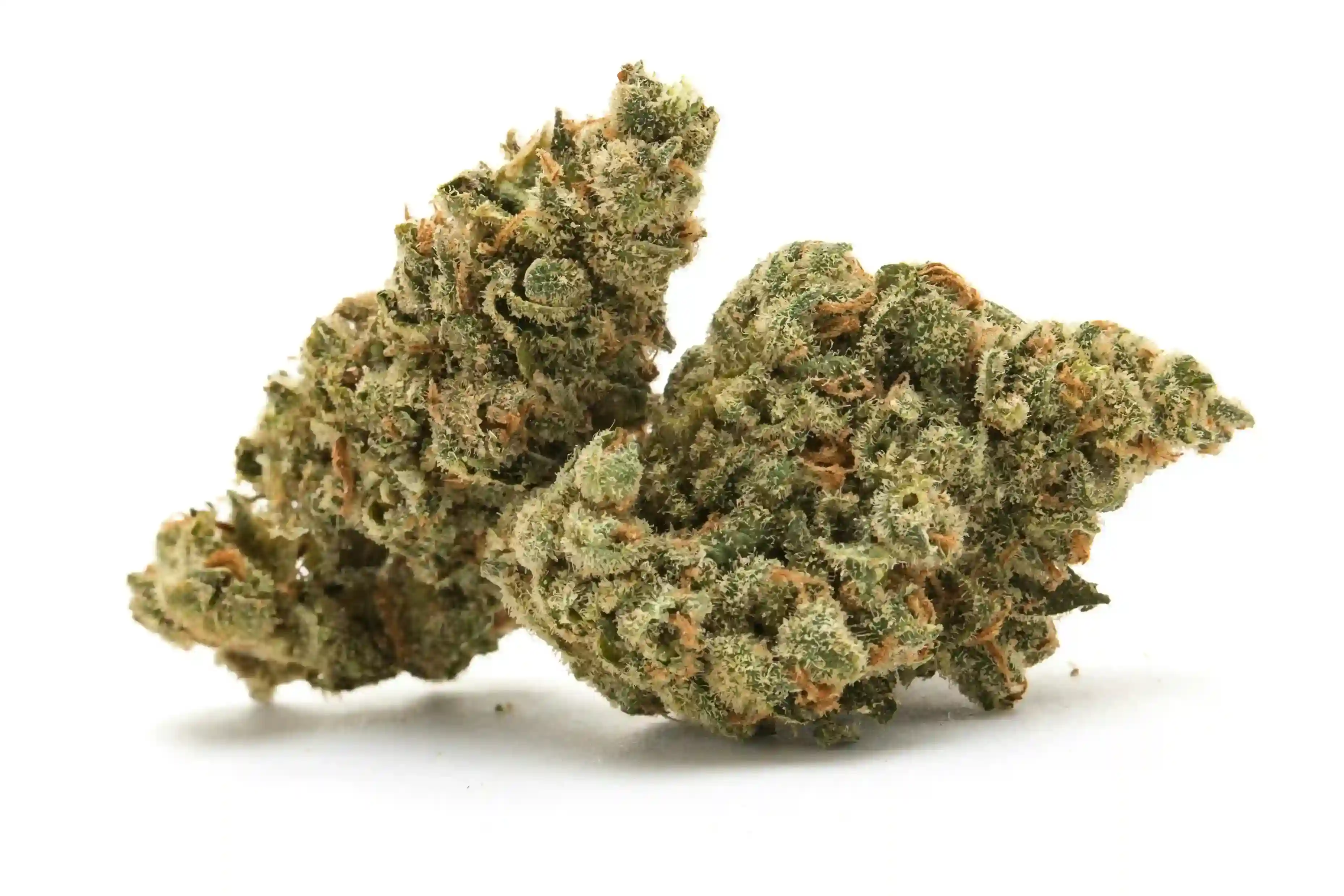 Pink Haze - Chillin Cheetah - /pinkhazevape