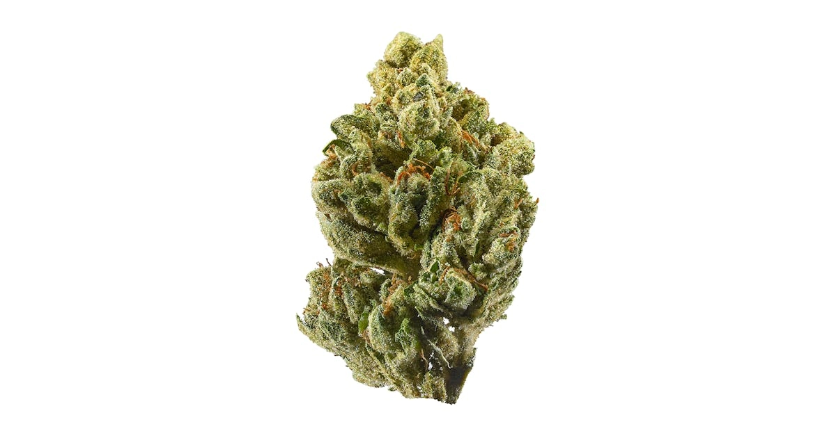 Pink Gas - Chillin Cheetah - Toronto
