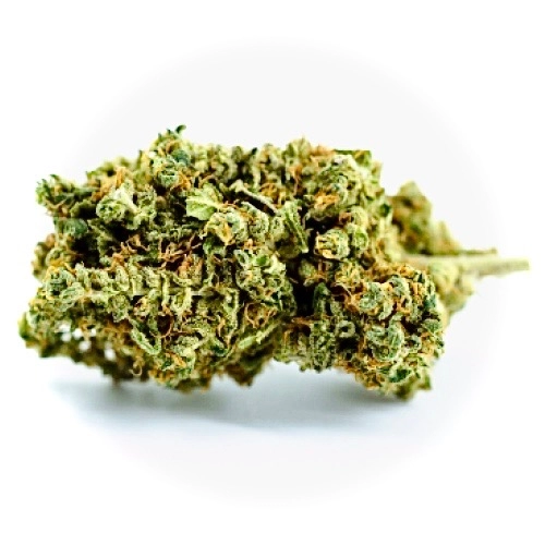 Promo | Hash Bomb for sale - Cannabis Products @ Chillin Cheetah