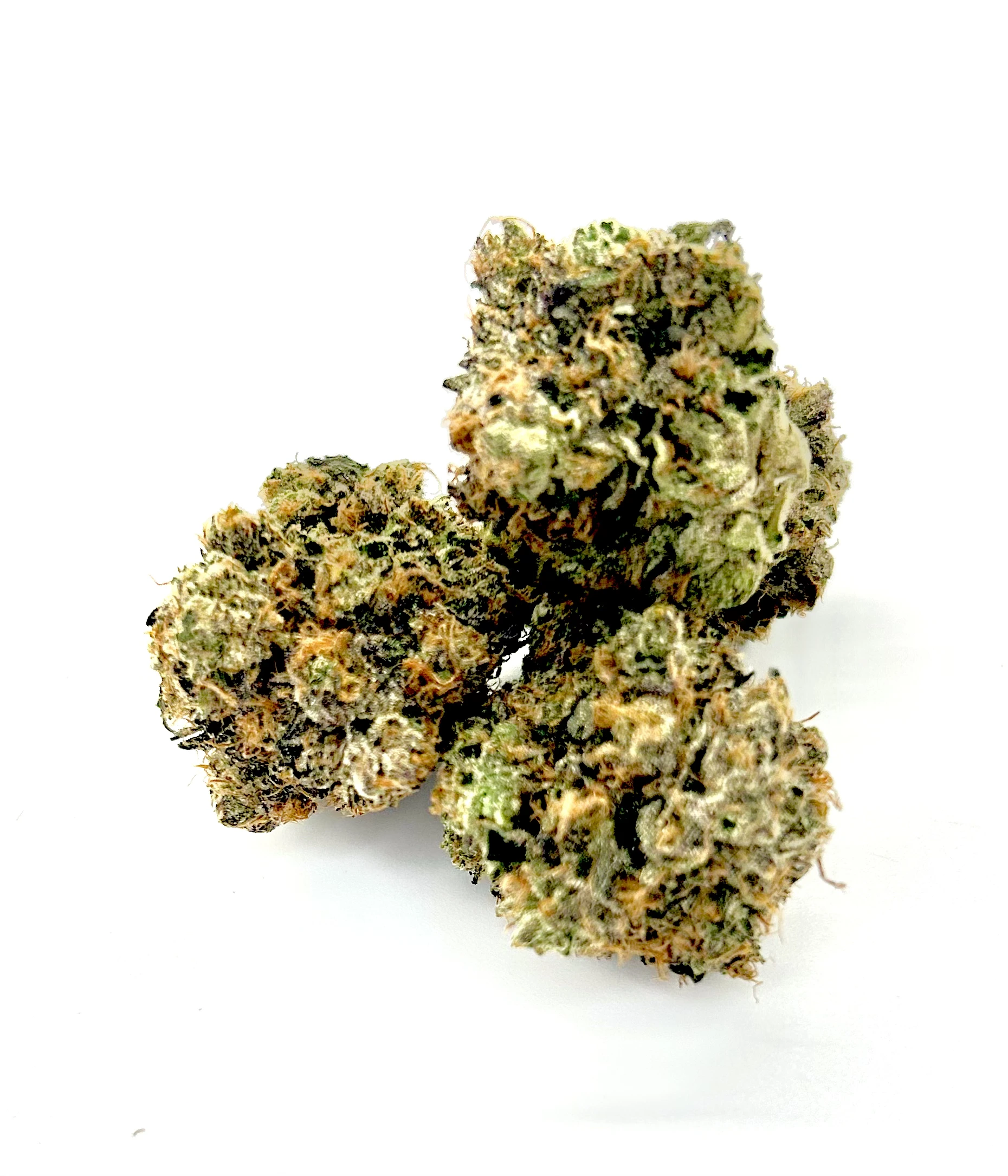 Sunset Gas - Chillin Cheetah - Brampton