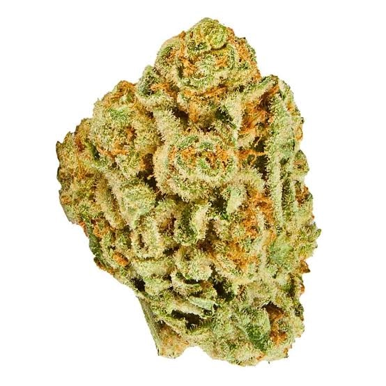 Super Lemon Haze - Chillin Cheetah - Burlington