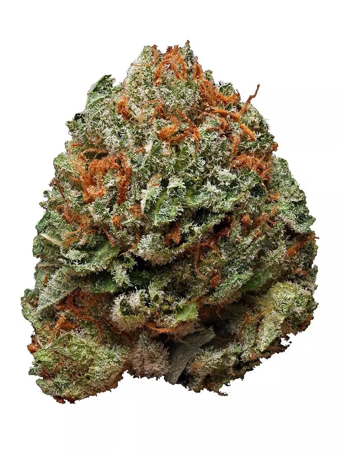 Bubba Kush Available For Delivery - Chillin Cheetah