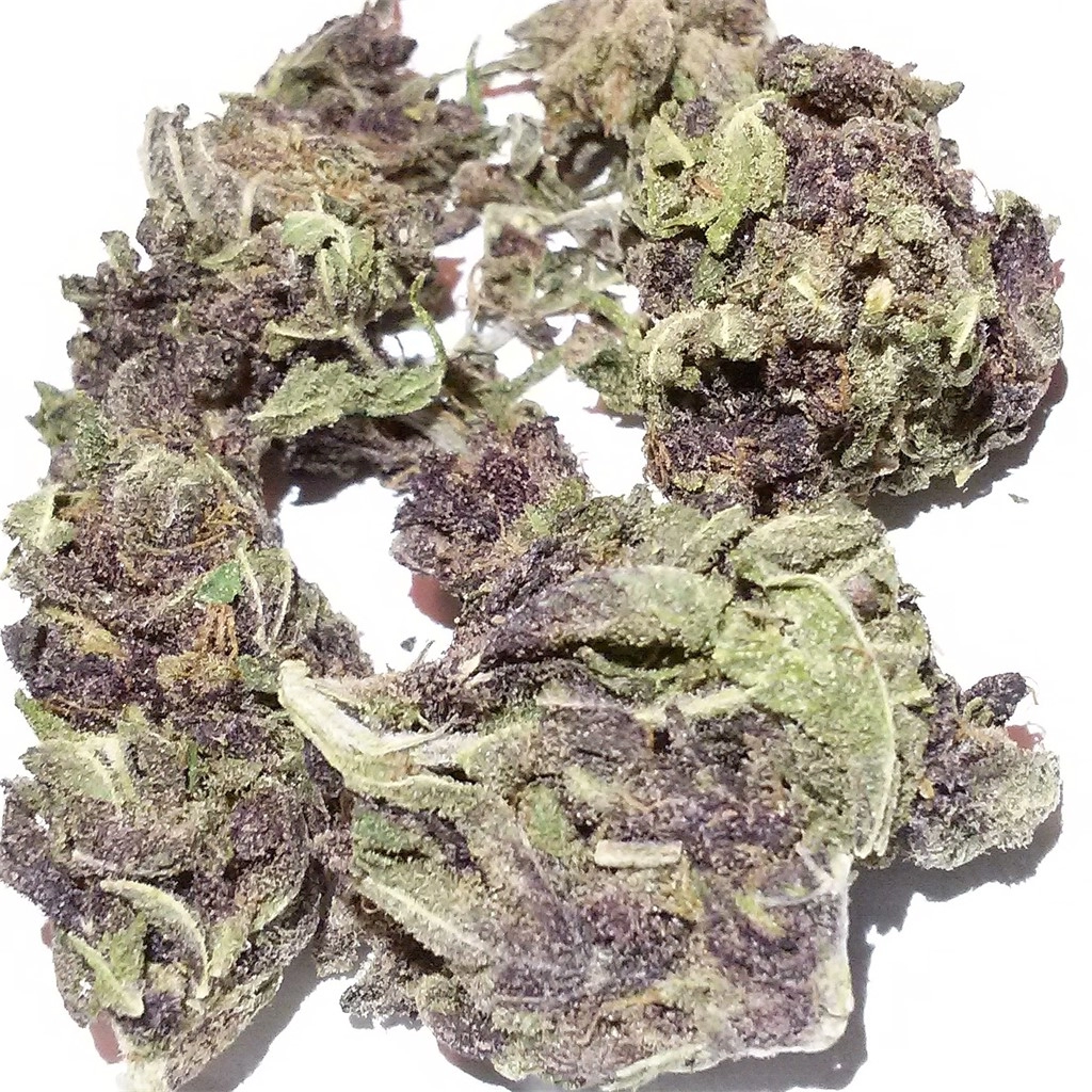 Pineapple Purps Available For Delivery - Chillin Cheetah