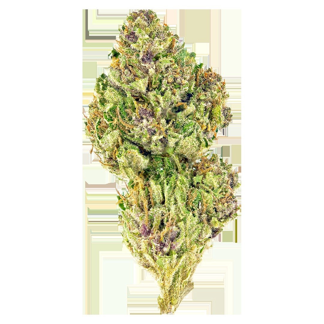 Pink Kush Available For Delivery - Chillin Cheetah