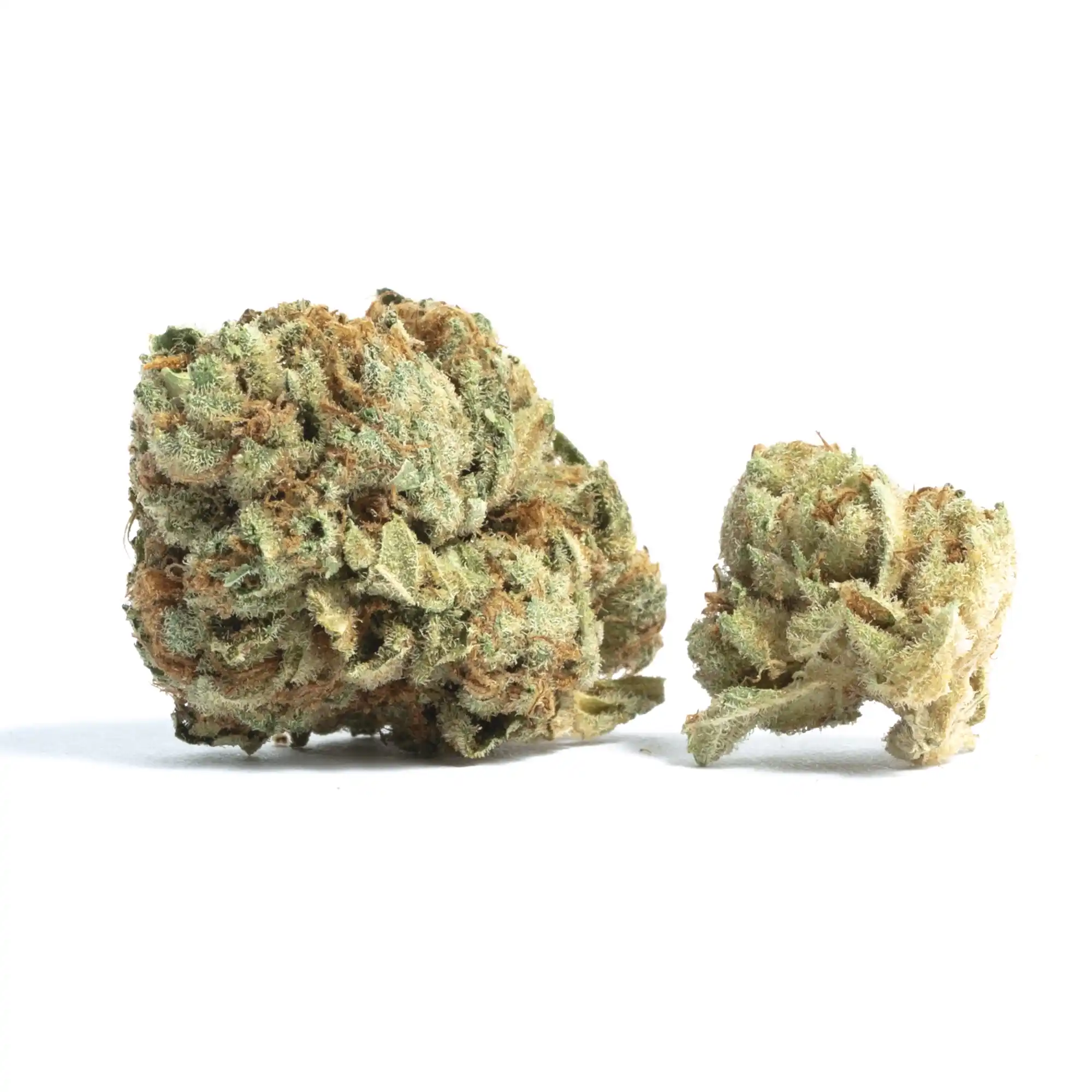 Sky Master Available For Delivery - Chillin Cheetah