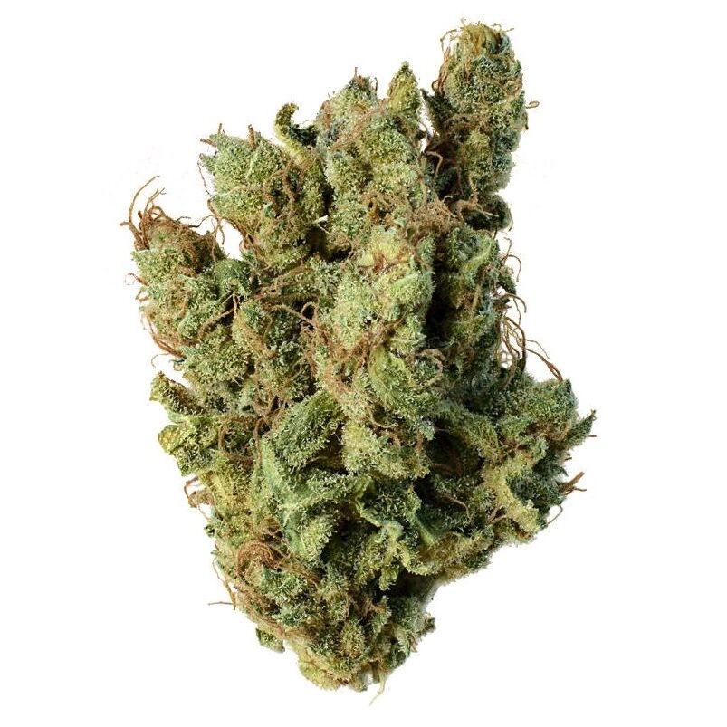 Super Silver Haze Available For Delivery - Chillin Cheetah