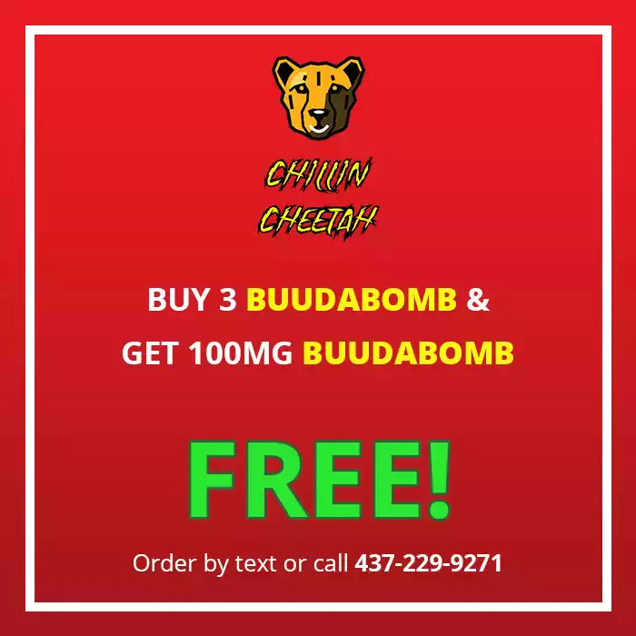 BuddaBomb Bonanza! Free Coupon