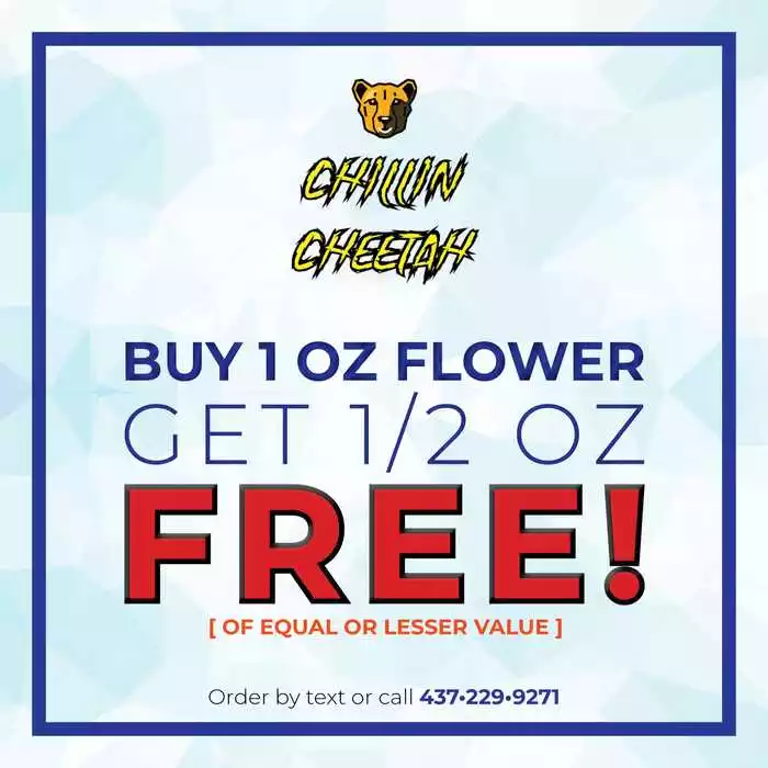 Flower Power Deal <br />Buy 1 Get 1/2 Free!