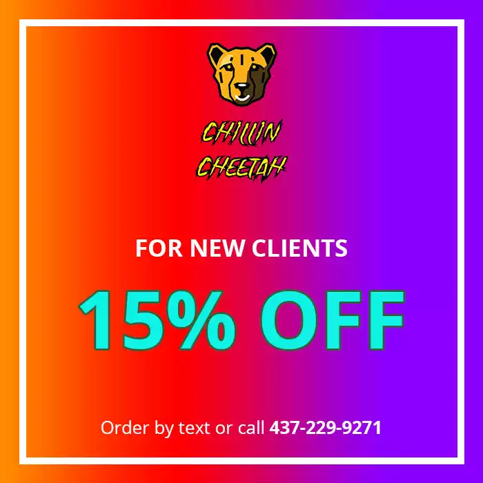 New Clients 15% OFF - Chillin Cheetah