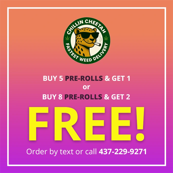 Pre-Roll Bonanza!